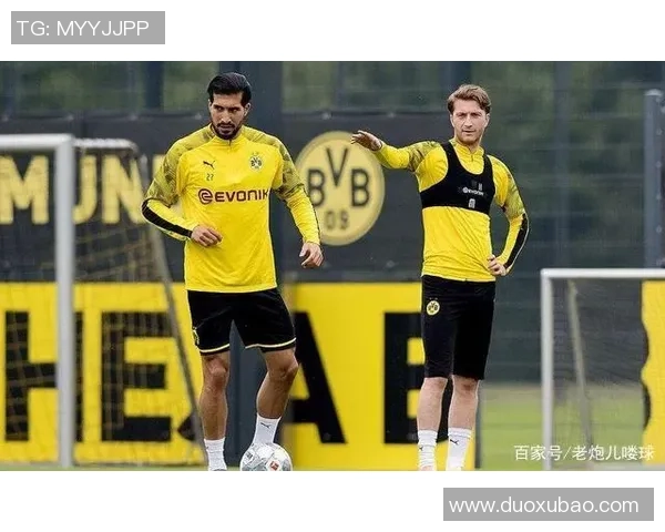 哈德斯与狼队对决前瞻分析及胜负预测详解