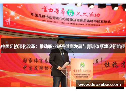 中国足协深化改革：推动职业联赛健康发展与青训体系建设新路径