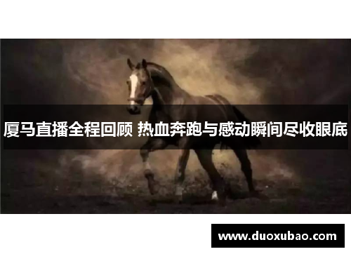厦马直播全程回顾 热血奔跑与感动瞬间尽收眼底