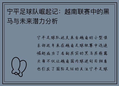 宁平足球队崛起记：越南联赛中的黑马与未来潜力分析